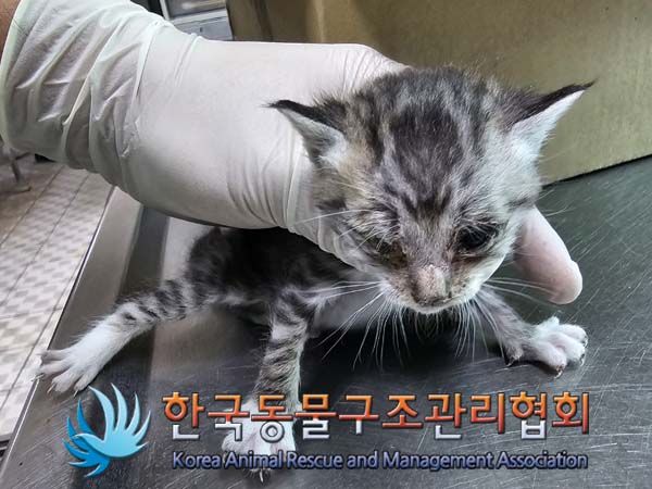 종료(자연사) 한국…